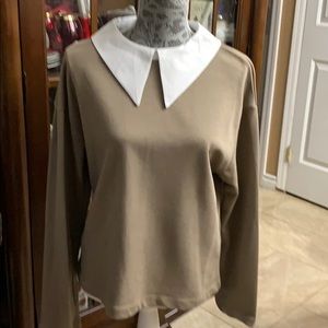 Tan collared blouse